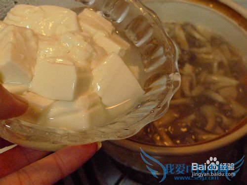 温暖鲜美的----鲜虾豆腐菌菇煲
