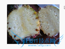 彩椒菠萝咕咾肉