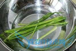 Ïã¼å¶¹¸¯ÅÅ