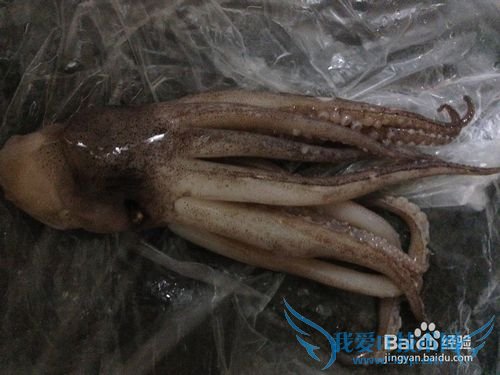 多味鱿鱼青瓜卷