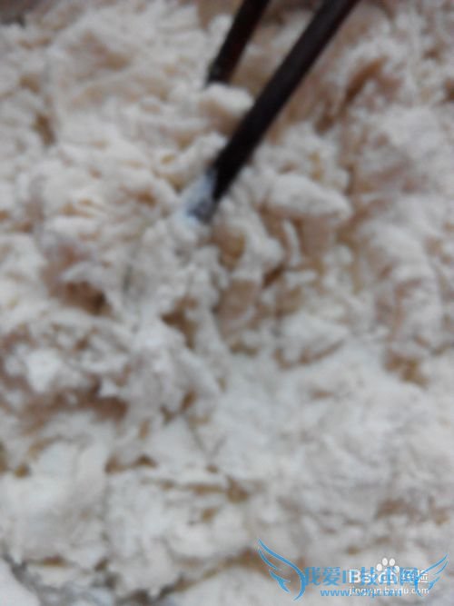 羊肉芹菜馅饺子