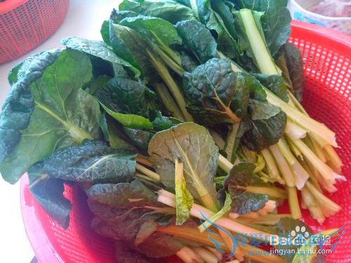 苔菜的营养价值——苔菜豆腐泡的做法