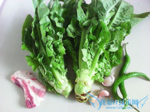 ÇཷÏãÀ±Ý«ÜÄ