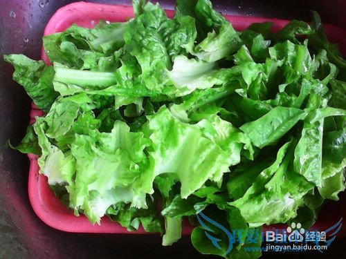 ÇཷÏãÀ±Ý«ÜÄ