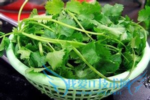 如何做内酯豆腐汤