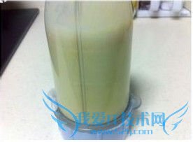 健康营养又减肥的南瓜饮——南瓜豆腐奶昔