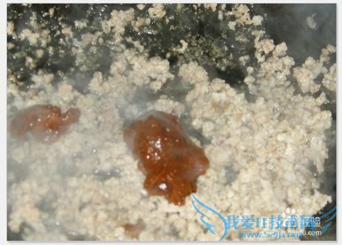 四川辣菜——麻婆豆腐