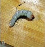 镜箱豆腐的做法