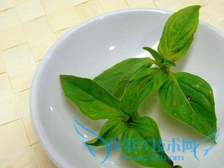 三杯鸡烧茭白笋