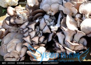 蘑菇炒肉的技巧