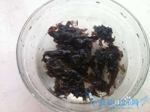 补血健脑、增强记忆力的——红烧紫菜豆腐