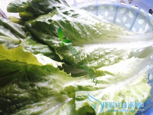 怎么做豆腐生菜葱花解腻汤