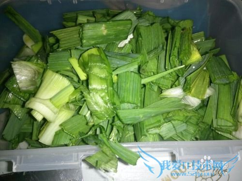 回家做一道大蒜炒肉吧