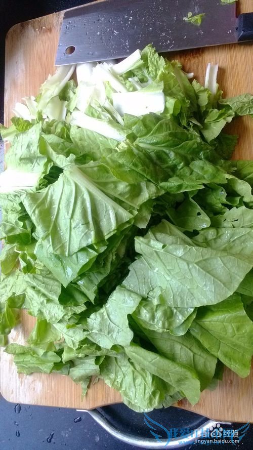 青菜豆腐简单又营养素材中的战斗菜