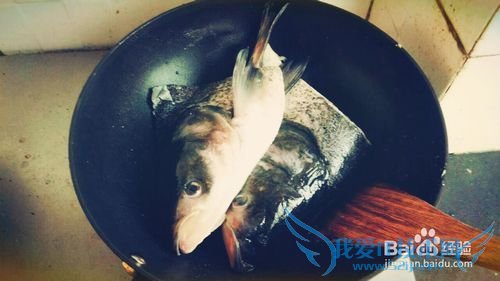 老少咸宜的鱼头豆腐汤