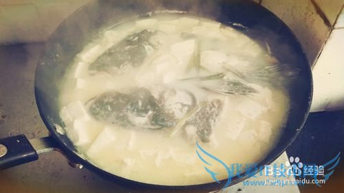 老少咸宜的鱼头豆腐汤