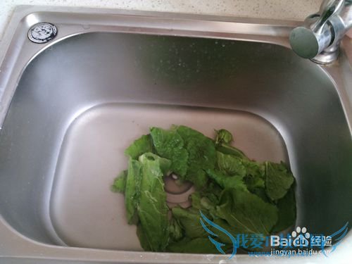 豆腐地皮菜包子