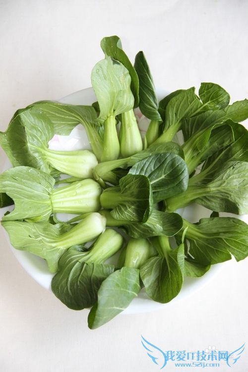 可以当年菜——百花酿香菇