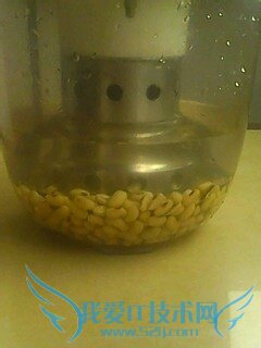 怎样制作懒豆腐