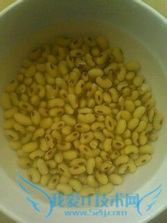 怎样制作懒豆腐