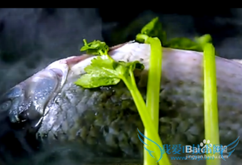 鲫鱼豆腐汤-美味佳肴