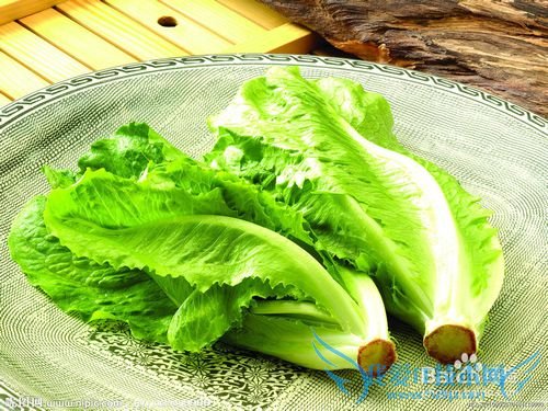 青菜豆腐羹怎么做