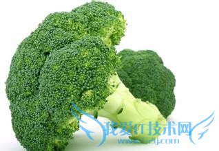 碱性食物与减龄