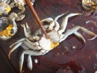 干锅香芹麻辣蟹