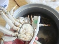 干锅香芹麻辣蟹