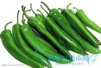 辣椒炒肉(好吃不贵)