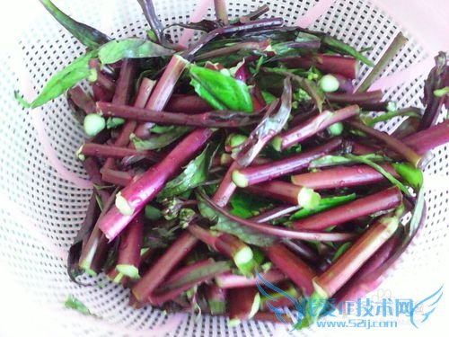 爆炒泡椒紫菜心