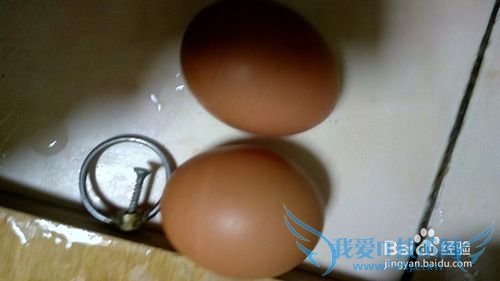 芹菜之芹菜炒蛋