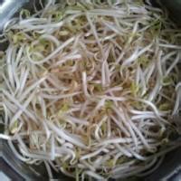 绿豆芽炒干豆腐的做法