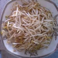 绿豆芽炒干豆腐的做法