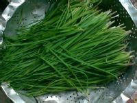 绿豆芽炒干豆腐的做法