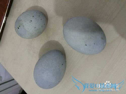 烧(烤)辣椒拌皮蛋