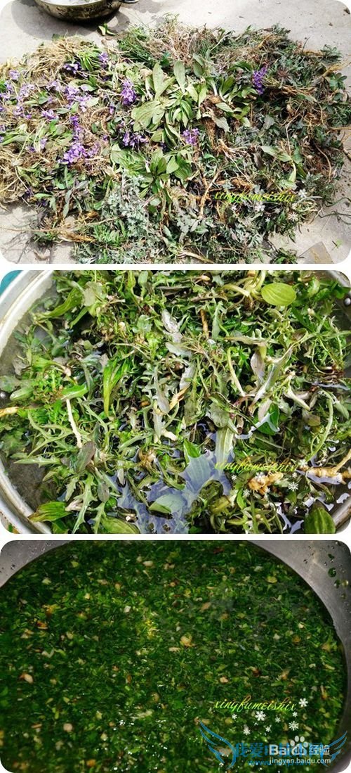 春季去火菜:苦菜小豆腐