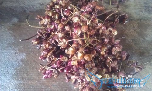 家常麻辣豆腐的制作方法