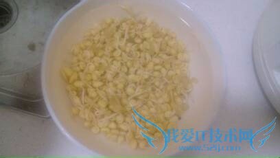 好吃不辣又下饭——豆子炒肉