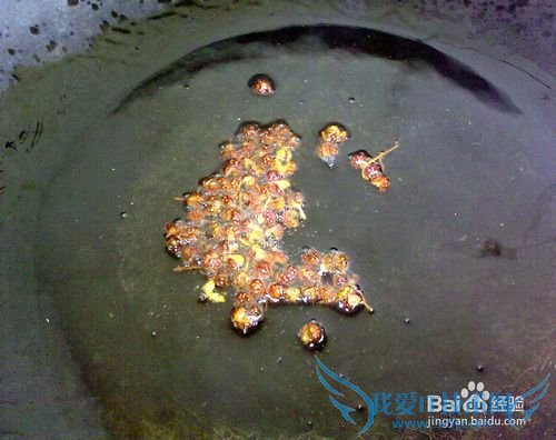 清新爽口嫩豆腐羹