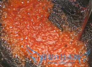 脆皮豆腐的做法