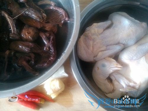 小鸡炖蘑菇怎么做--家庭版小鸡炖蘑菇的做法