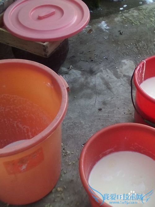 豆腐的制作技术