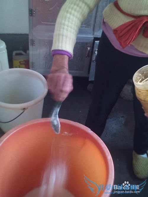 豆腐的制作技术