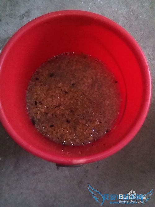 豆腐的制作技术