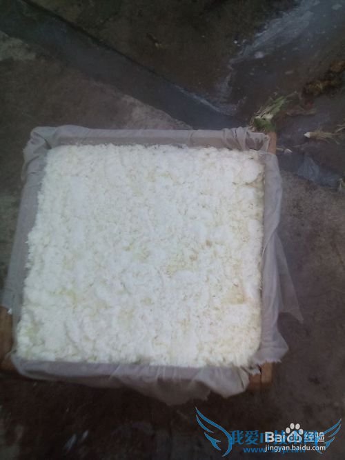 豆腐的制作技术