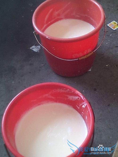 豆腐的制作技术