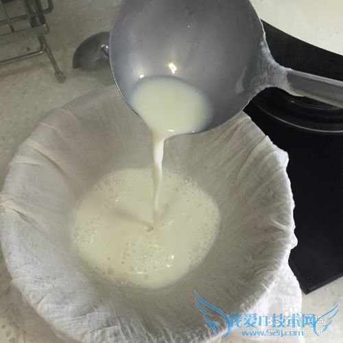 有韧性的胆水豆腐