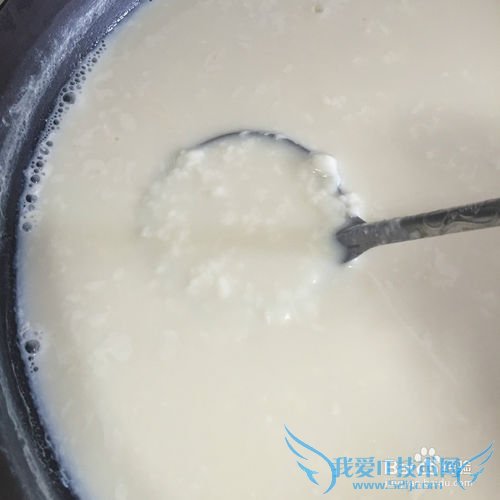 有韧性的胆水豆腐