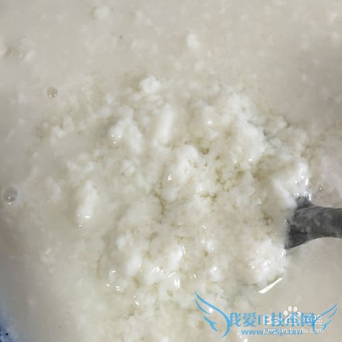 有韧性的胆水豆腐